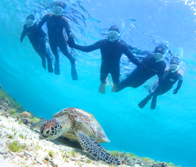 奄美大島 ダイビング シュノーケリング スノーケリング アマミエンシス